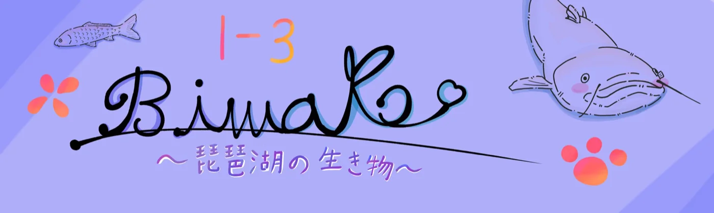 中学1年3組